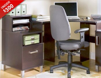 Buy Home Office Must-Haves Under $300!