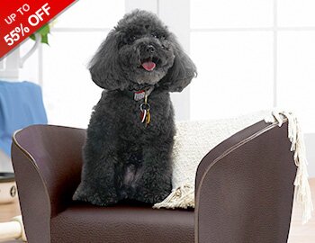 Buy Two Paws Up: Pet Beds & More!