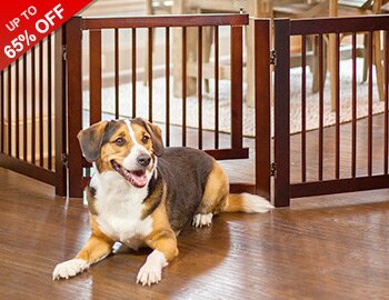 Buy Sit, Stay, Play: Pet Furniture & More!