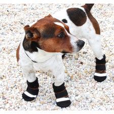 ABO GearDog Boots-image