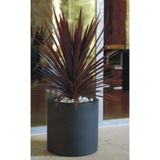 Cilinder Fang Round Flower Pot Planter image