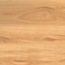 Sierra  6 x 36 Vinyl Plank in Chester image