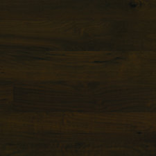 Silverton 5 Engineered Hardwood Walnut Flooring in Roasted image