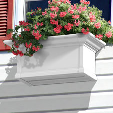 Yorkshire Window Box image