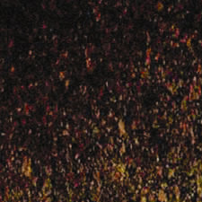 Enviro-Cork 11-3/4 Engineered Cork Flooring image