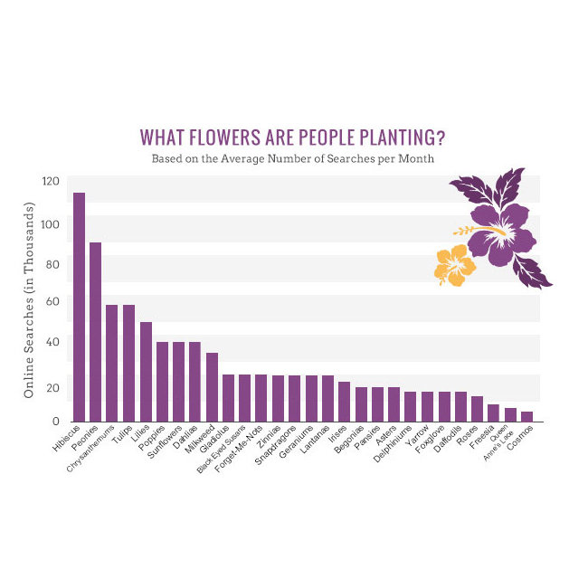 popular flowers