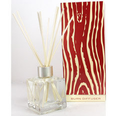 scent diffuser