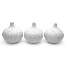 vases
