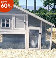 Buy Get Clucky: Chicken Coops & More!