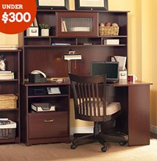 Buy Home Office Under $300!