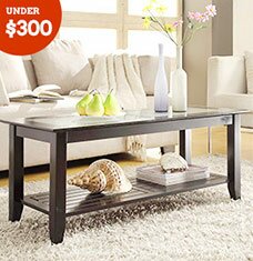 Buy Living Room Under $300!