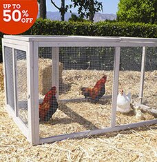 Buy The Happy Hen: Chicken Coops!