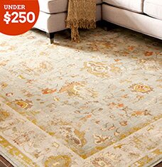 Buy Area Rug Blowout!