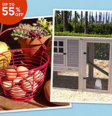 Buy Just My Cluck: Chicken Coops!