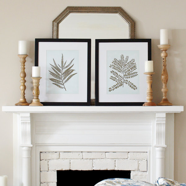 Birch Lane Fern Framed Print I