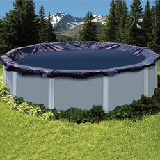 Pools | Wayfair