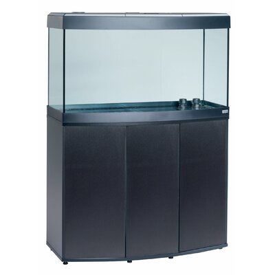 Hagen Fluval Vicenza Complete Aquarium Kit & Reviews | Wayfair