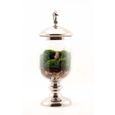 Twig Terrariums Out for a Swim DIY Kit