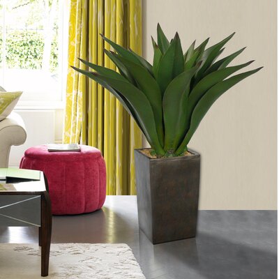 Laura Ashley Home 44 Realistic Giant Aloe Plant in Contemporary