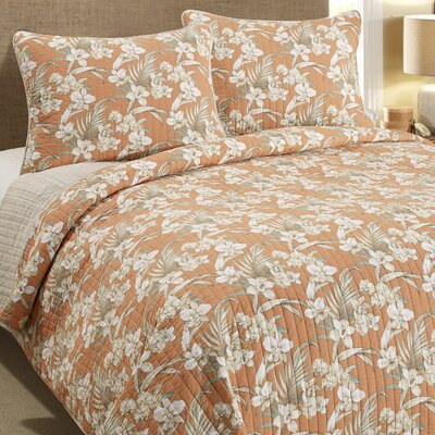 Tommy Bahama Bedding Tropical Orchid Quilt Set & Reviews | Wayfair