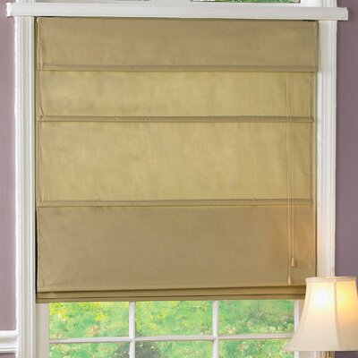 Radiance Roman Shade & Reviews | Wayfair