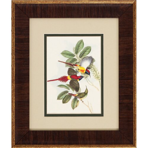 Propac Images Bird Tropic 2 Piece Framed Graphic Art Set & Reviews ...