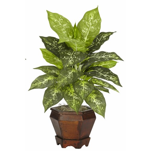 Nearly Natural Dieffenbachia Silk Desk Top Plant in Pot