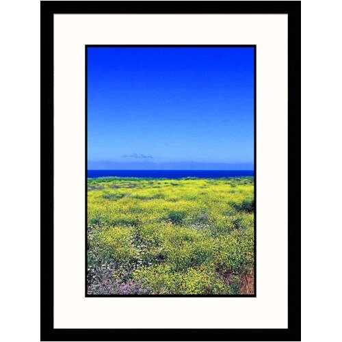 Great American Picture Field of Yellow Flowers Framed Photograph