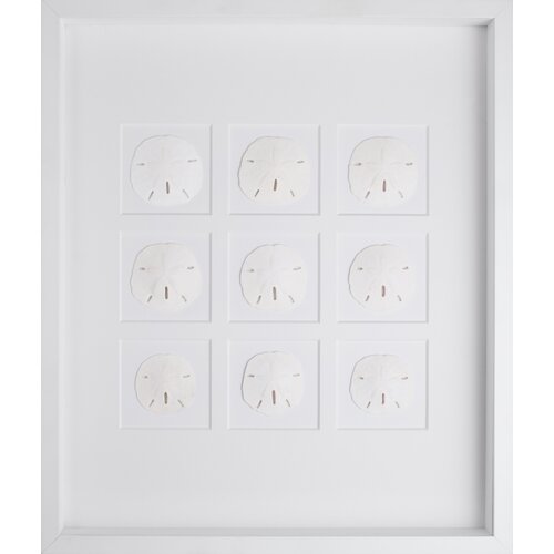 Mirror Image Home White Sand Dollars Art