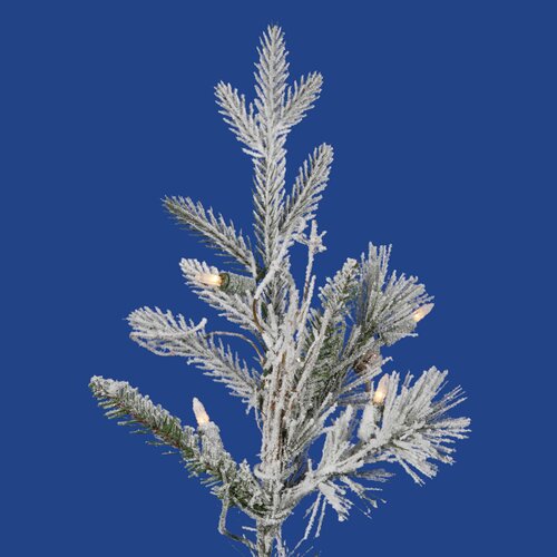 Vickerman Frosted Wistler Fir 9 Green Artificial Christmas Tree with