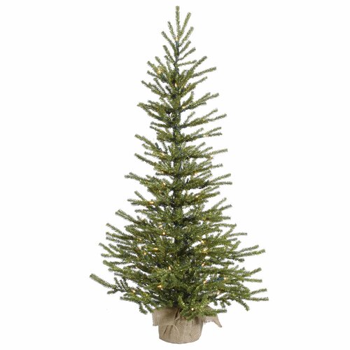 Vickerman Sparkle Pistol Pine Table Top Tree with 70 Lights