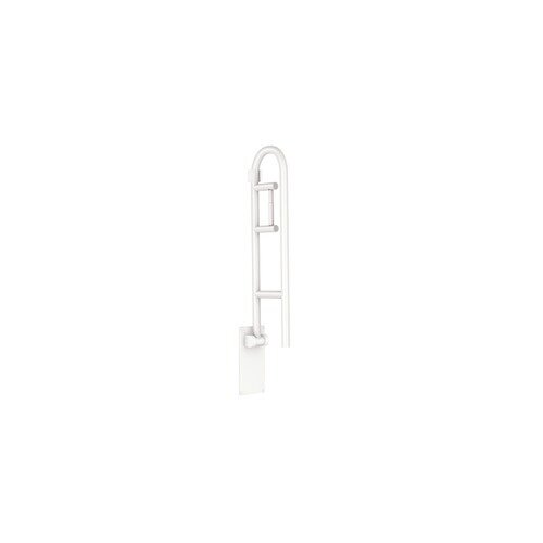 Creative Specialties by Moen 30 Grab Bar