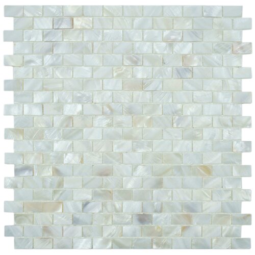 EliteTile Shore Seashell Textured Mosaic in White