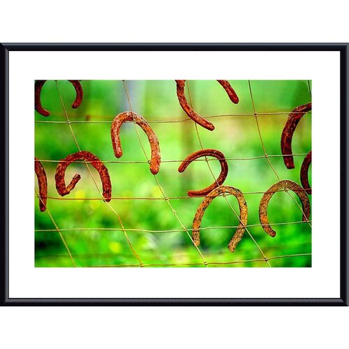 Barewalls Rusted Horseshoes Metal Framed Art Print