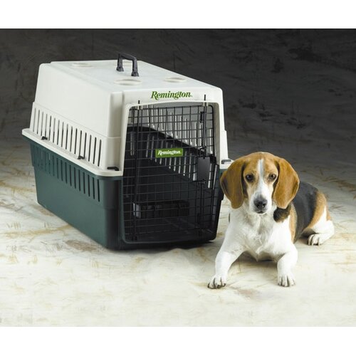 Ruff Maxx Plastic Dog Crate/Carrier & Reviews | Wayfair