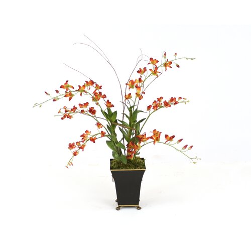 Distinctive Designs Silk Rust Dendrobium Orchid Plants in Square