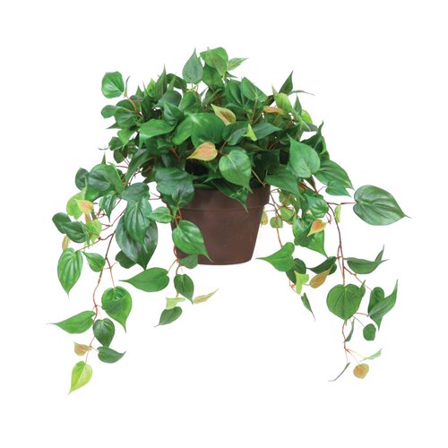 Distinctive Designs Silk Cascading Philodendron Floor Plant in Pot