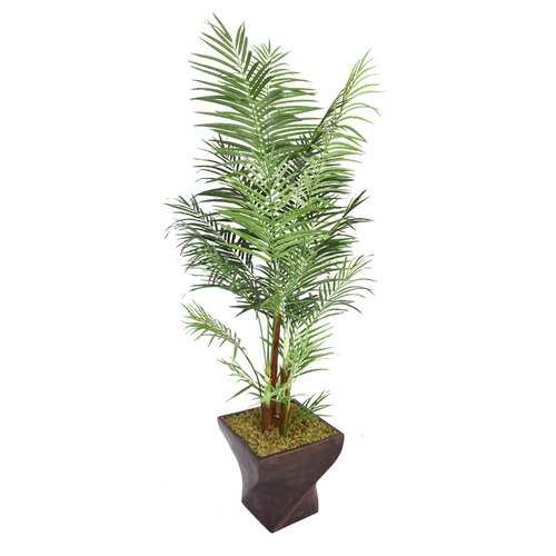 Laura Ashley Home Tall Areca Palm Tree in Planter