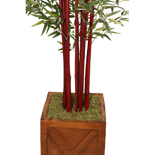 Laura Ashley Home Tall Harvest Bamboo Tree in Fiberstone Planter