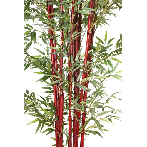 Laura Ashley Home Tall Harvest Bamboo Tree in Planter