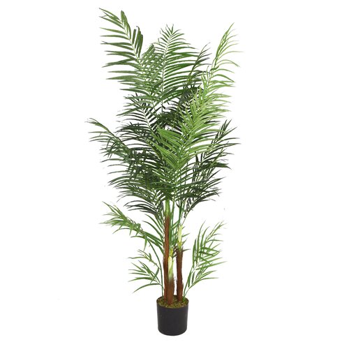 Laura Ashley Home Realistic Areca Palm Tree in Decorative Planter