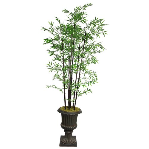 Laura Ashley Home Tall Bamboo Tree