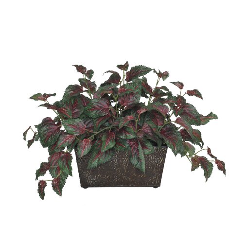 House of Silk Flowers Artificial Coleus Leaf Mini Ledge Desk Top Plant