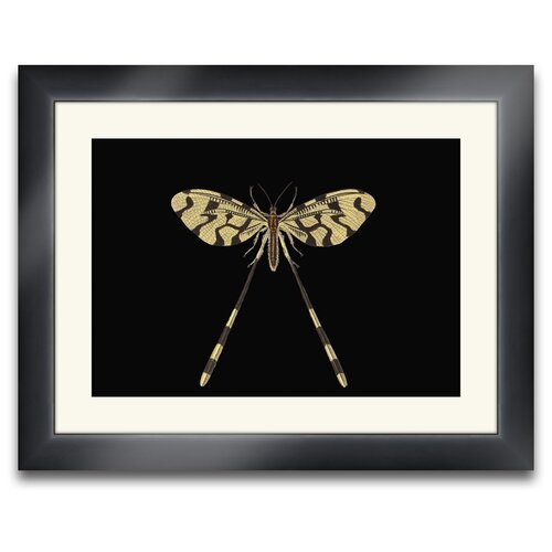 Epic Art Beauté Ailé Turbin Dragonfly I Wall Art