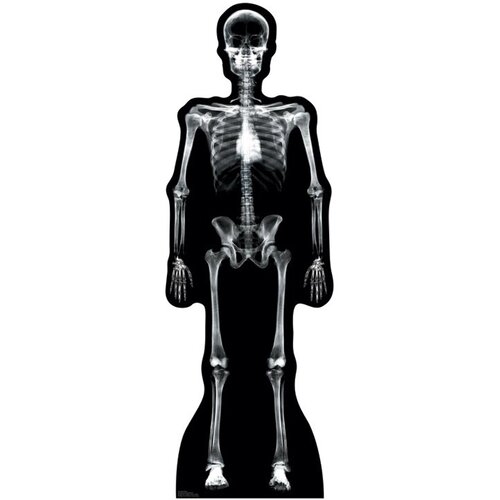 Halloween X Ray Skeleton Cardboard Stand Up