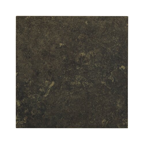 Shaw Floors Lunar 18 x 18 Porcelain Tile in Graphite