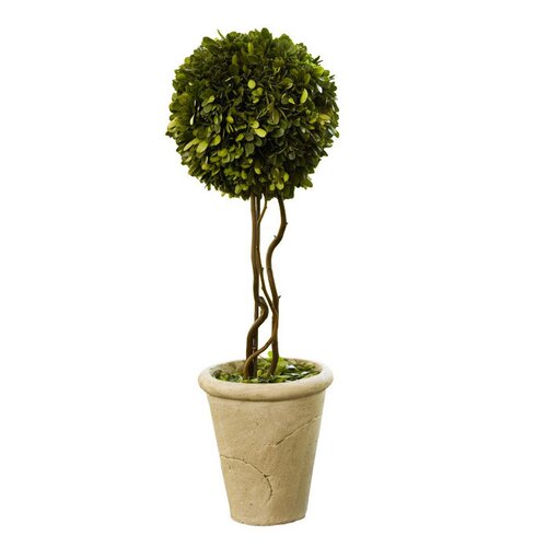 Tori Home Triple Ball Shaped Boxwood Topiary in Pot