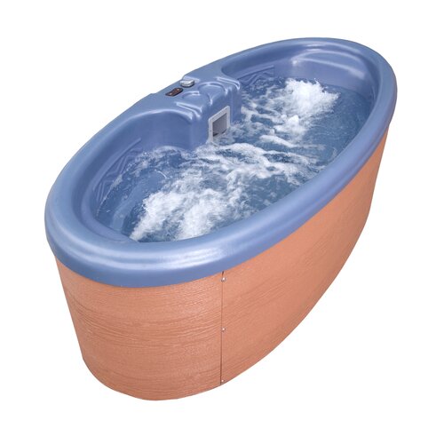 QCA Spas Duet 2 Person Oval 10 Jet Spa