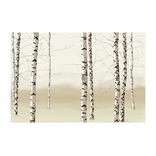 Walls Modern Murals Birch Trees Mural in Neutral