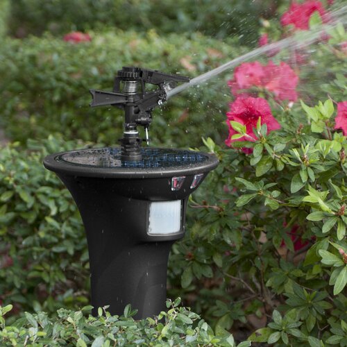 Havahart Spray Away Elite II   Motion Detector Sprinkler